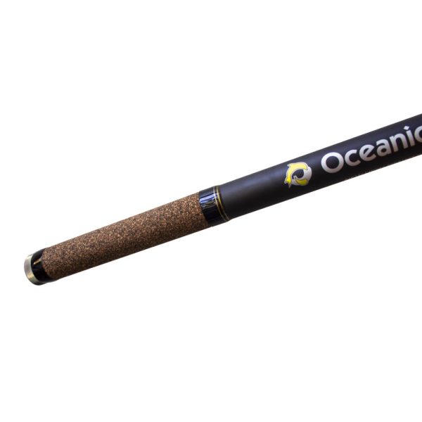 Oceanic Team Pegasus 4.20m - Image 2