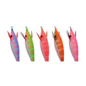 DTD Pirka #2.5