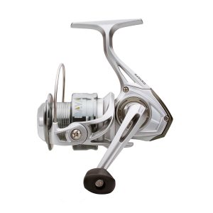 Robinson Bayard FD